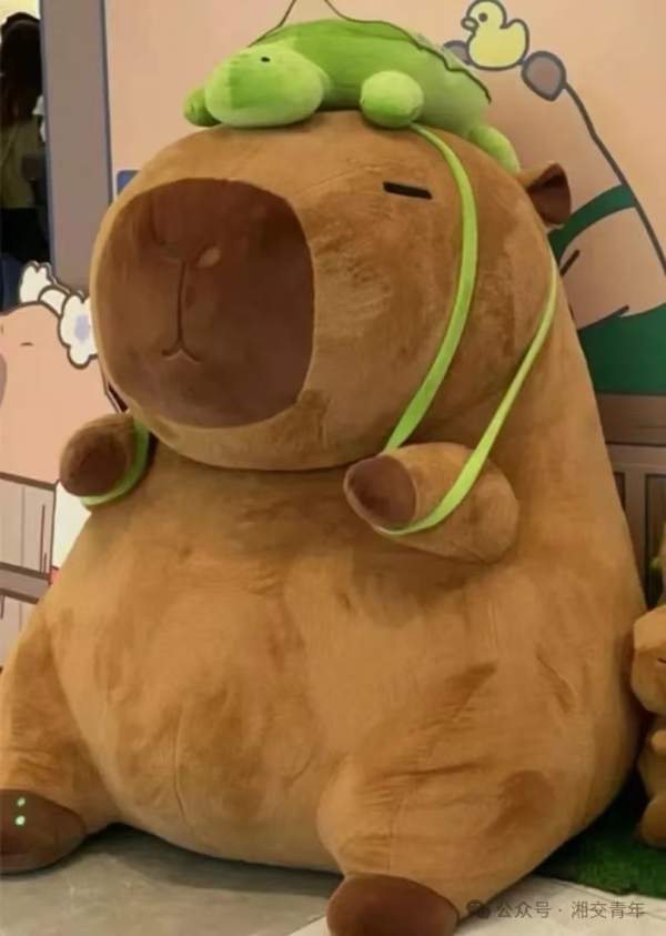 107fd56a9c8d062c90f361655f72c37.jpg 107fd56a9c8d062c90f361655f72c37.jpg